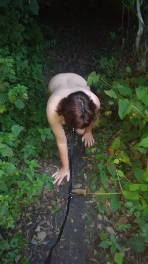 a walk in the park by Mundane-Employer-719