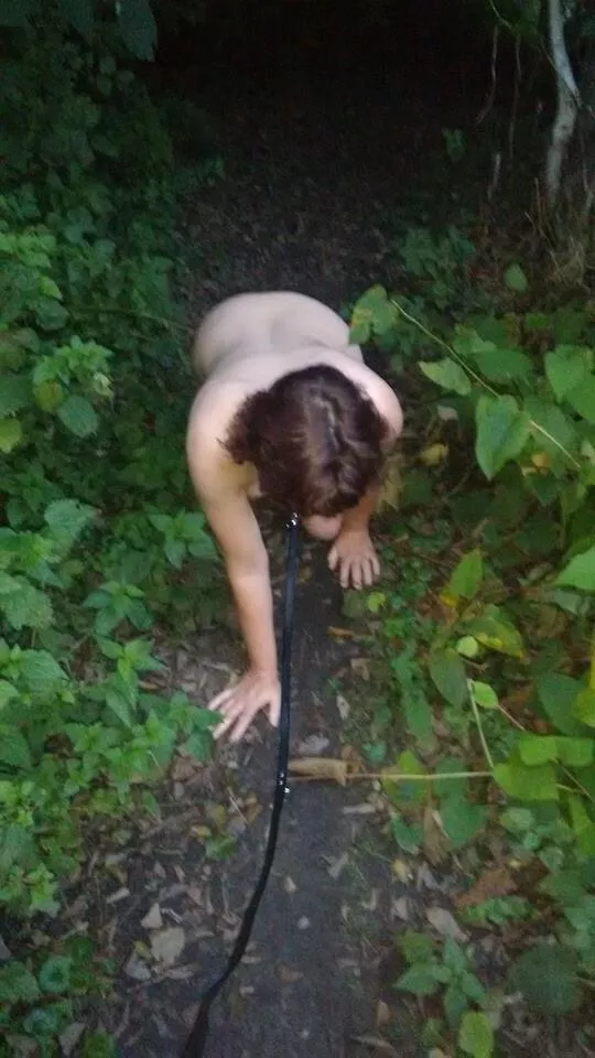 a walk in the park posted by Mundane-Employer-719