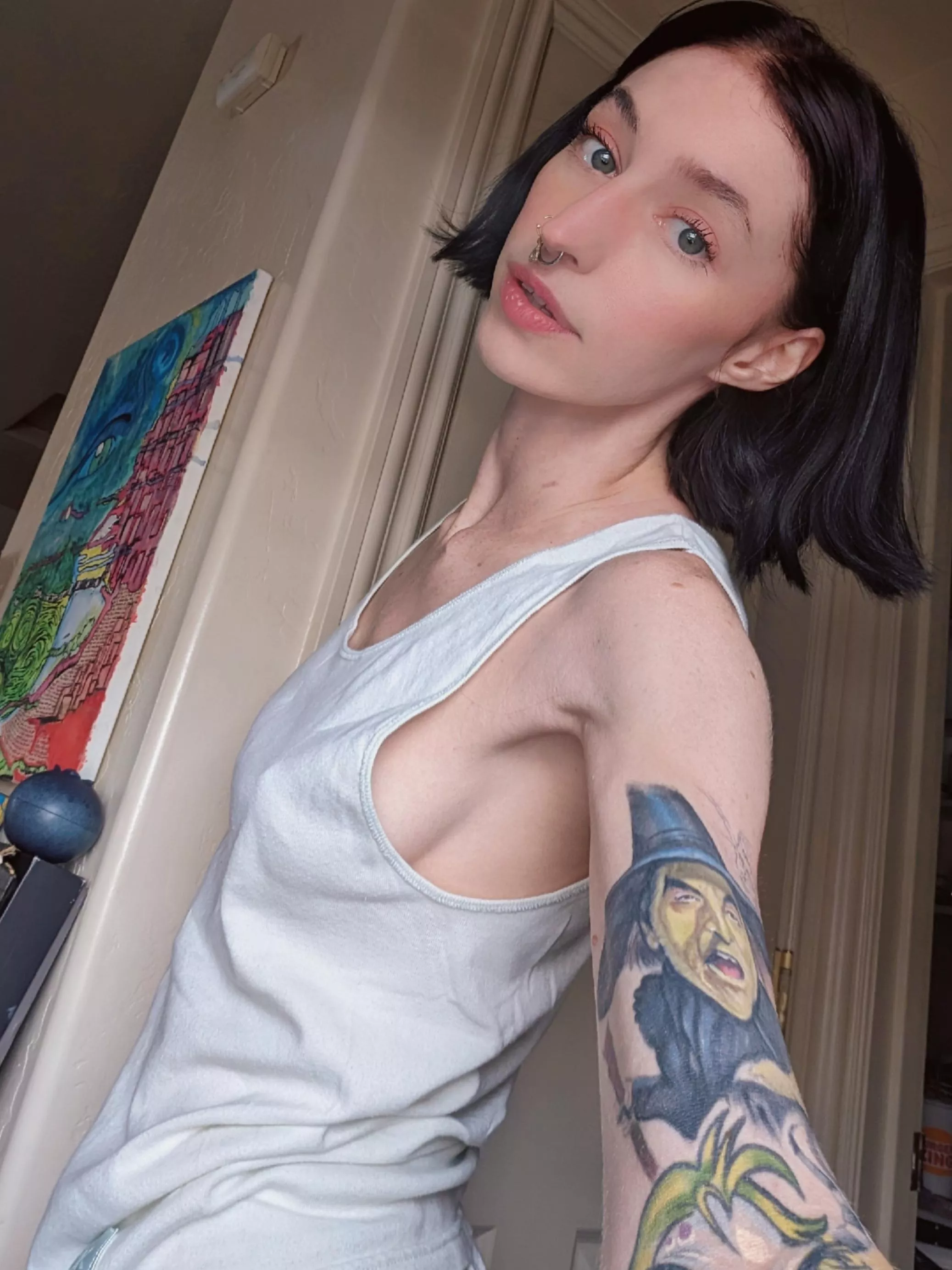 Always comfy posted by Maximum-Anteater-517