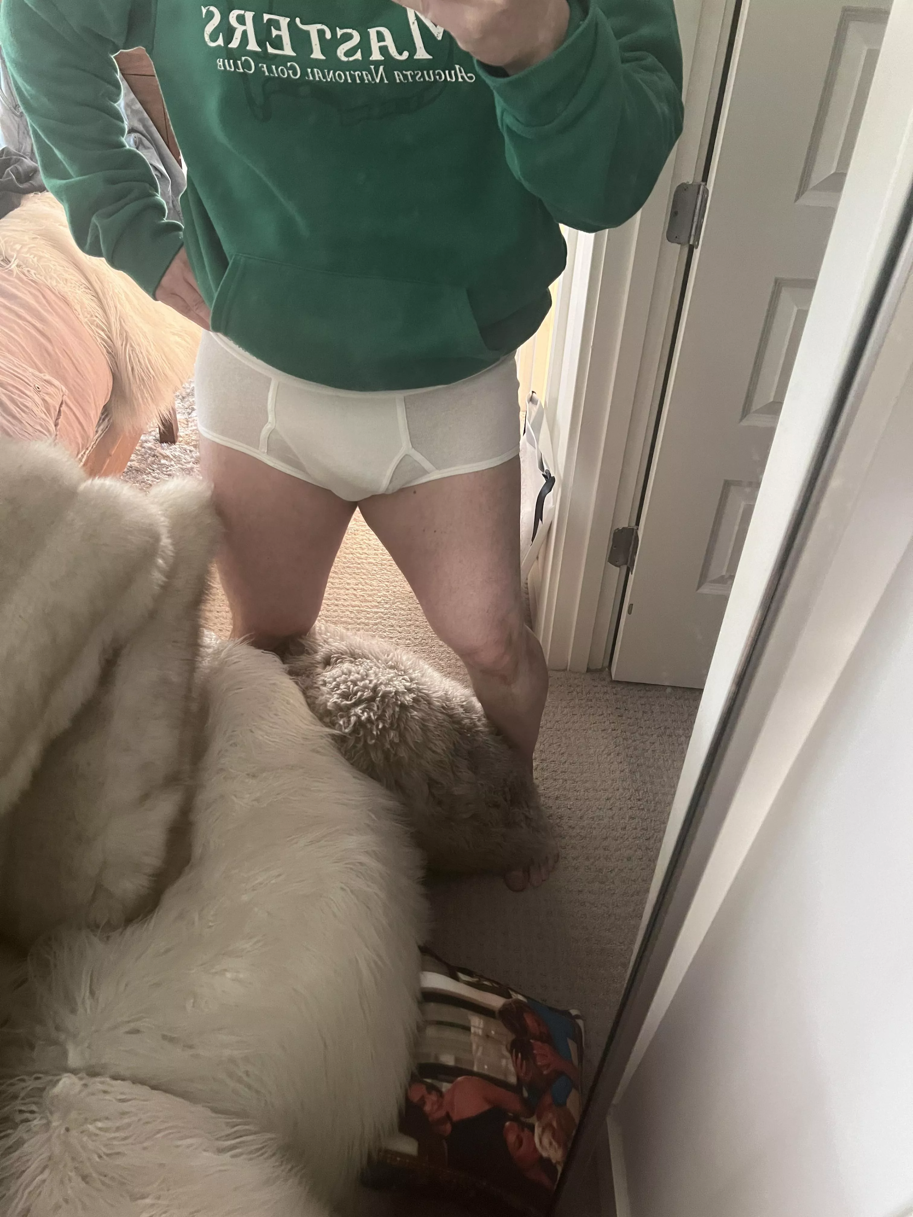 Been wearing classic Hanes lately.. always like the fit and look posted by Briefs_are_best