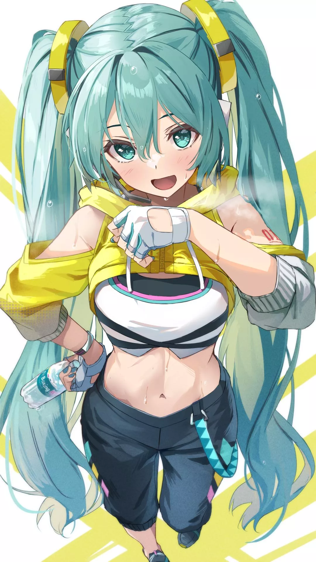 Hatsune Miku [Vocaloid] posted by CheetahSperm18