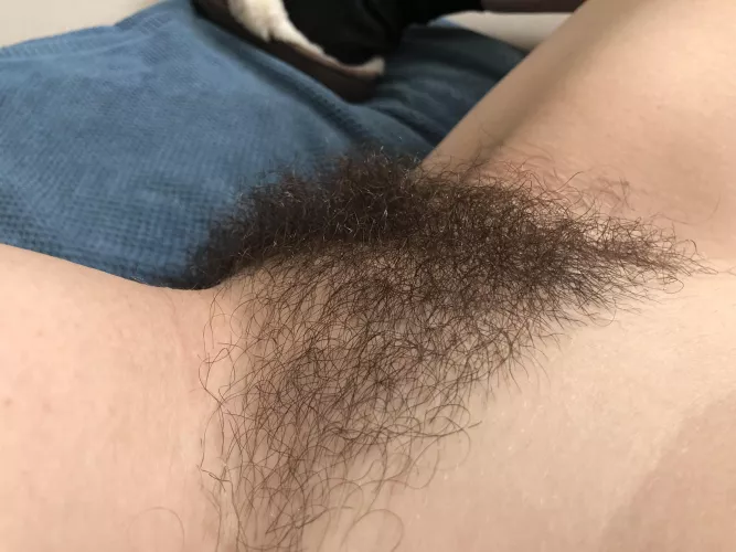 I've been told the bush feels good by Omphidian