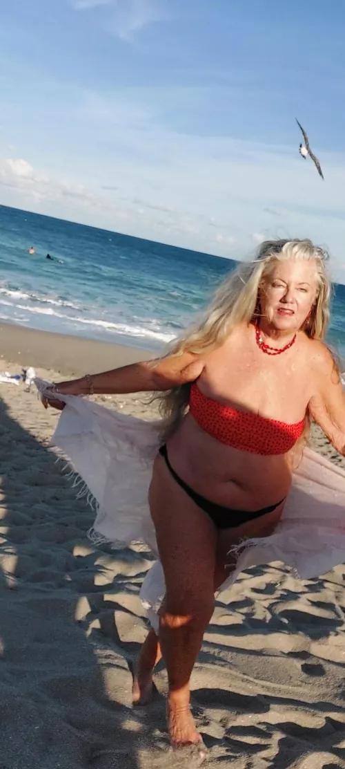 Just me and the seabirds  by Able_Big_1555