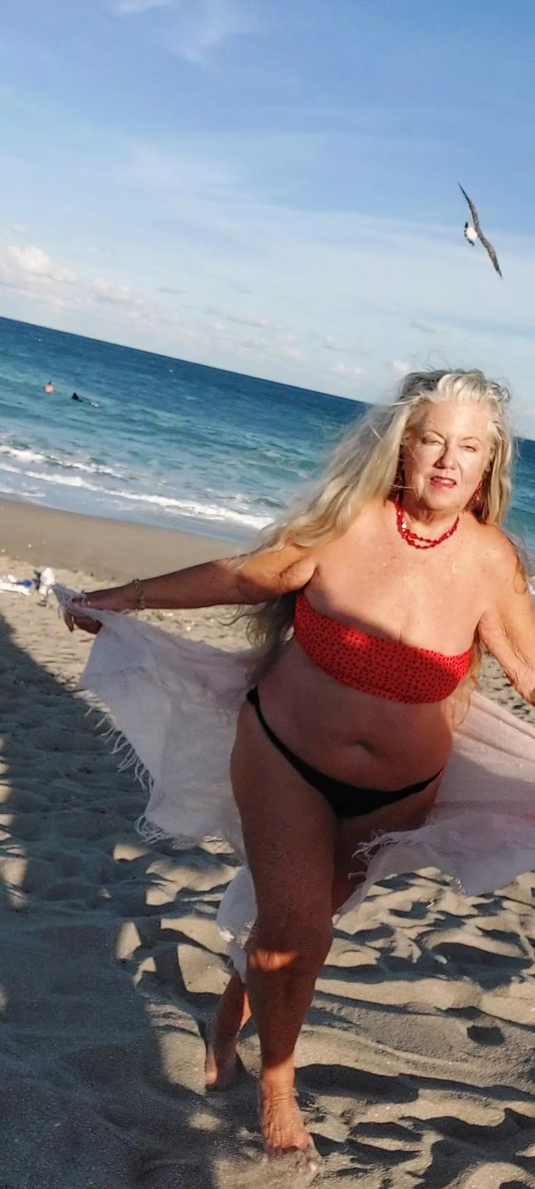 Just me and the seabirds  posted by Able_Big_1555