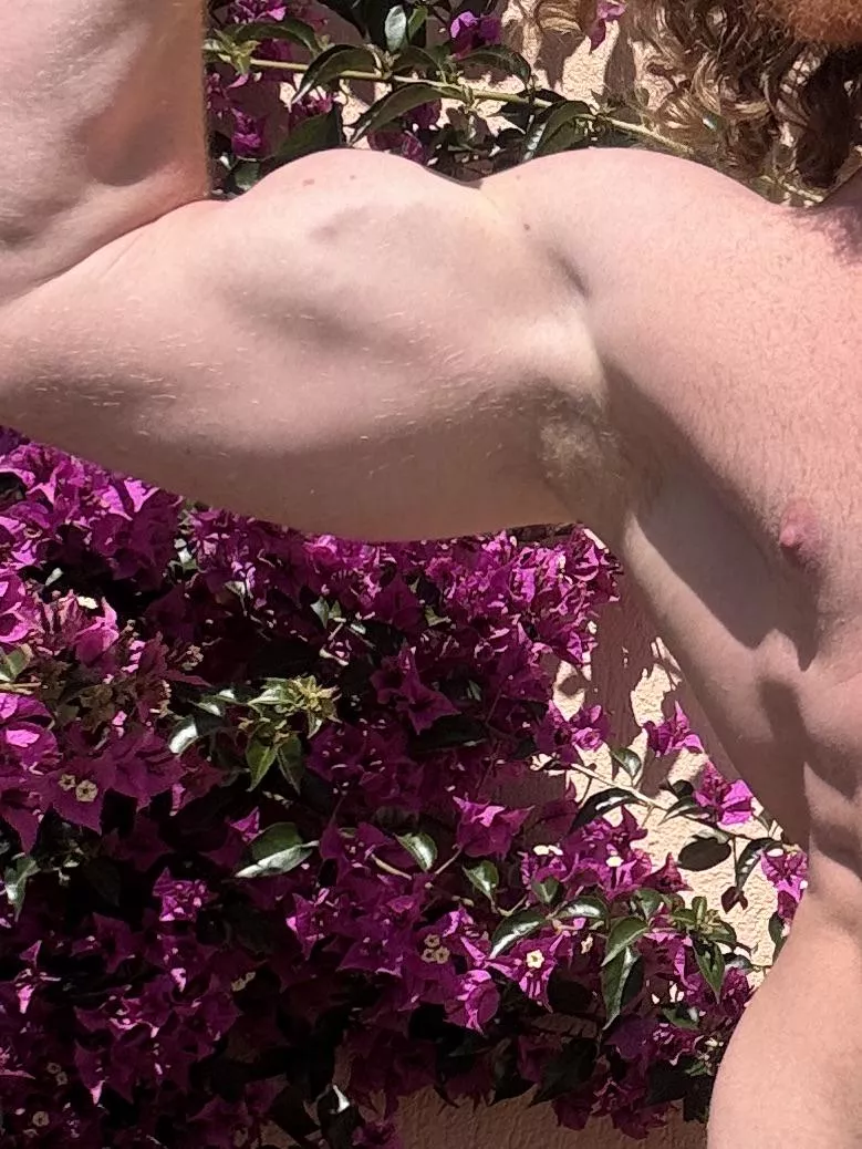 Pits smelling fresh posted by Bearded_alpha1