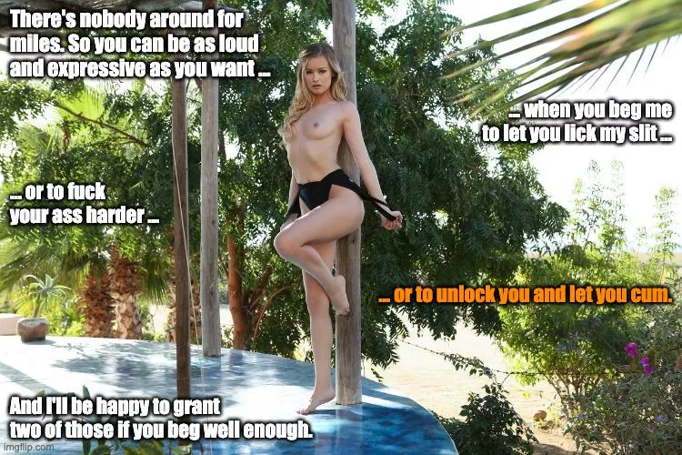 Two of those posted by ZinguBing