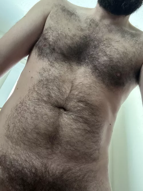 Was told by a friend to trim. I like the hair. What does everyone think? by hairysoutherner