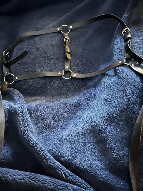 What is this and how do I use it? by EisWarren