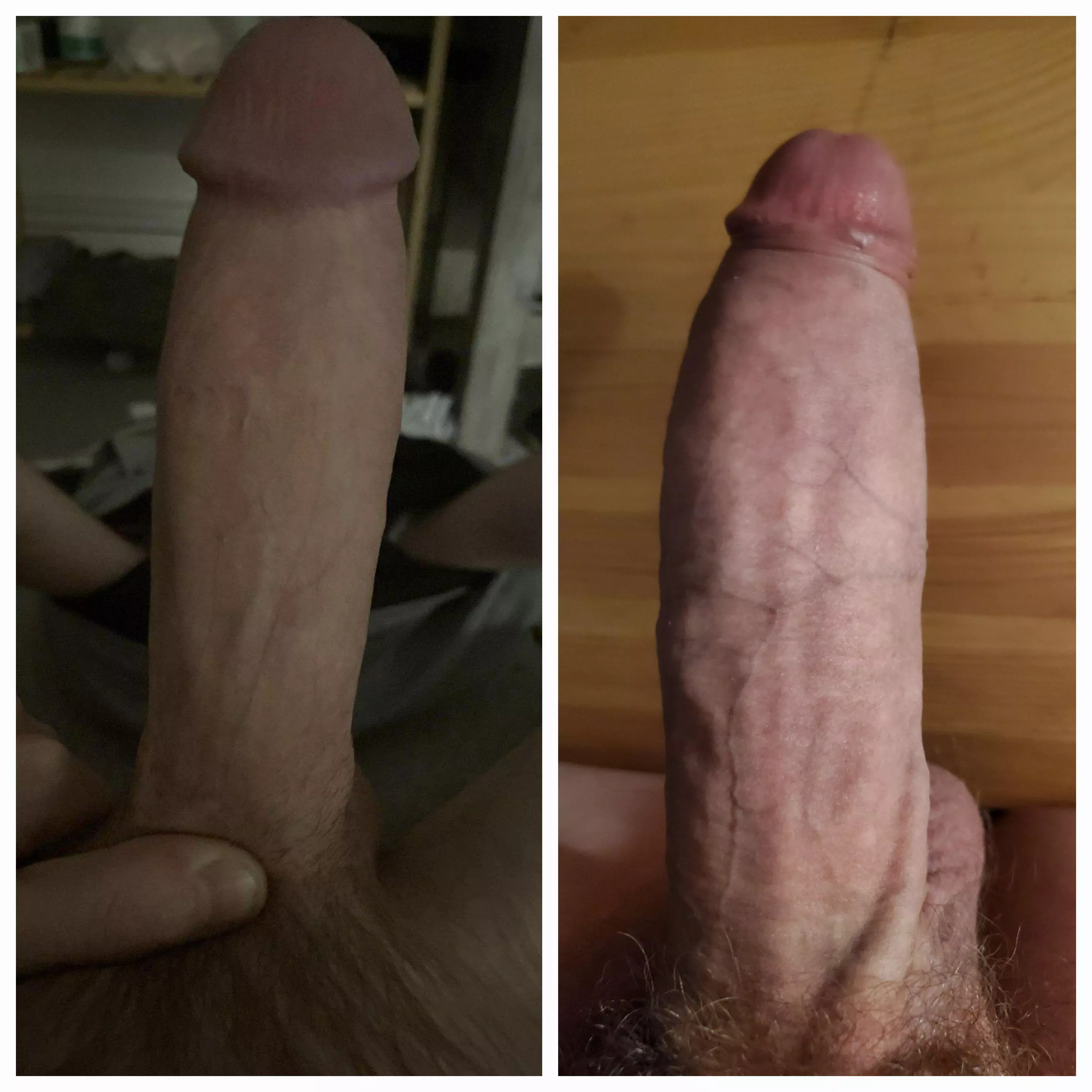 Which penis is going in your mouth first? posted by Famous-Scarcity-9424