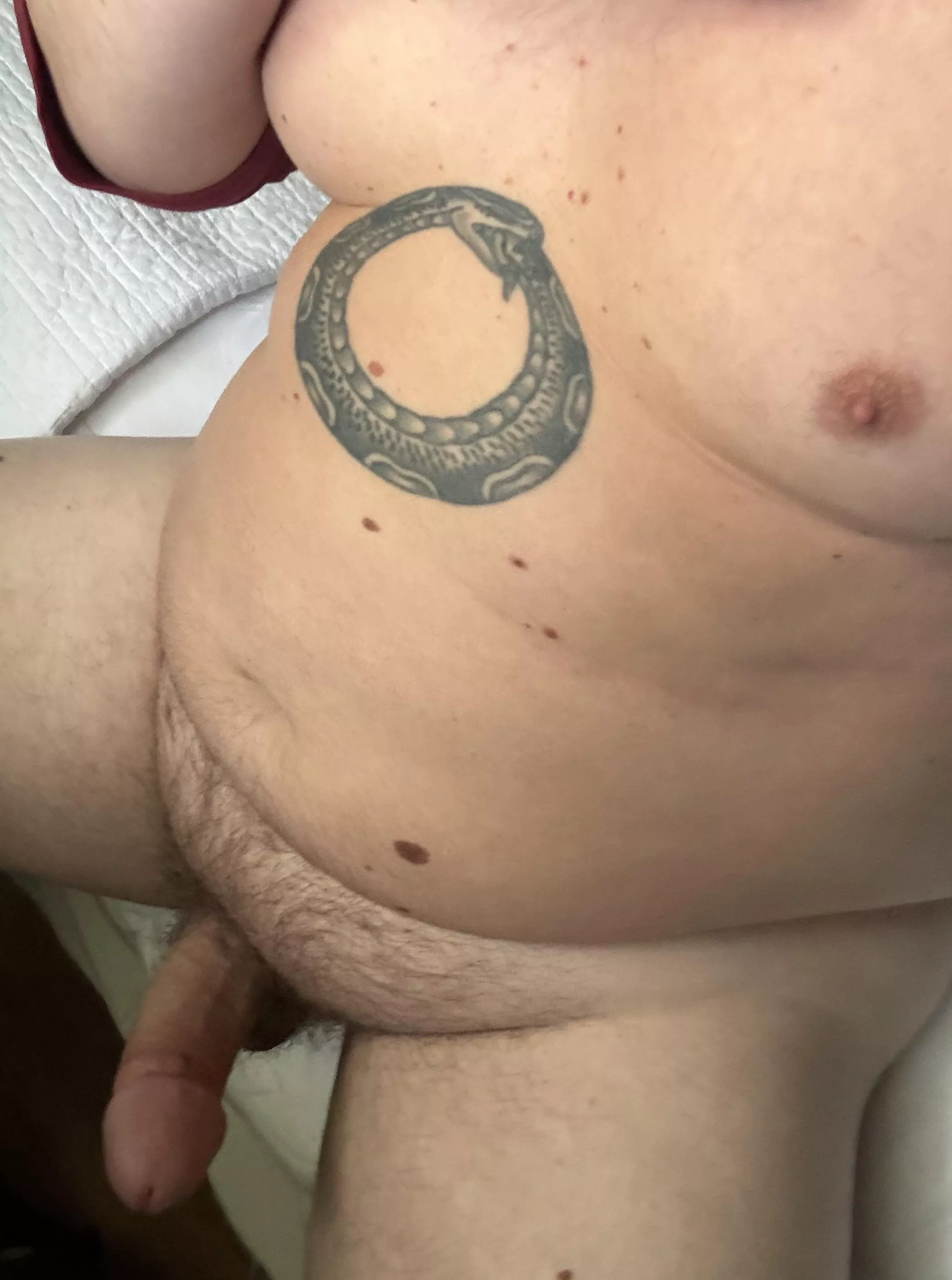 Who wants to rub my big stomach posted by fitandchubby