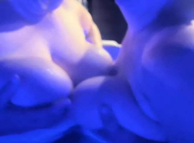 4 boobs are better than 2 by adamG8025