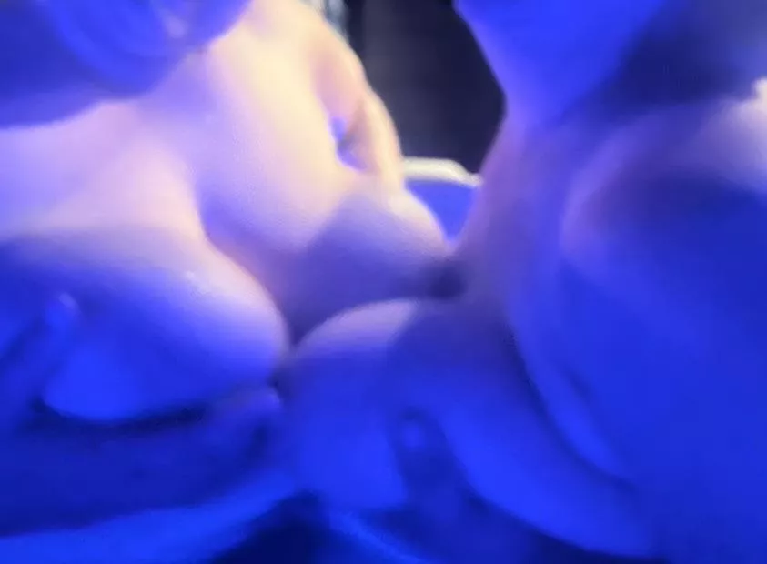 4 boobs are better than 2 posted by adamG8025