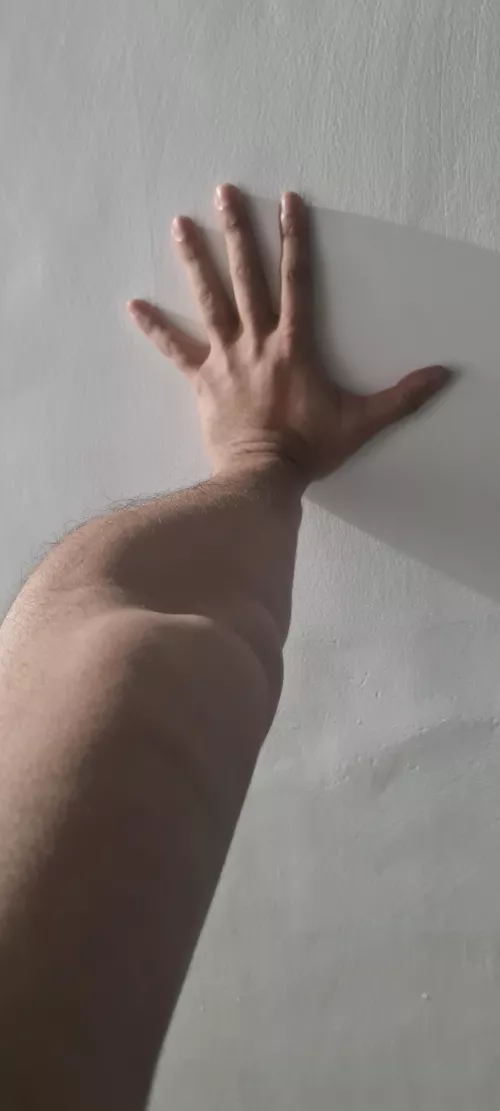 Another Brick Against The Wall by Murky-Birthday-3145