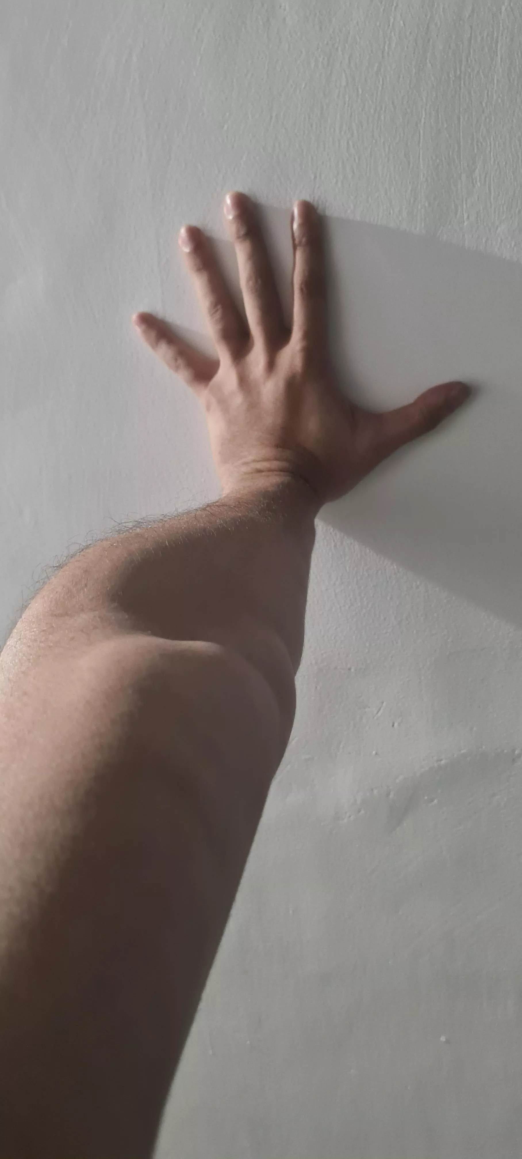 Another Brick Against The Wall posted by Murky-Birthday-3145