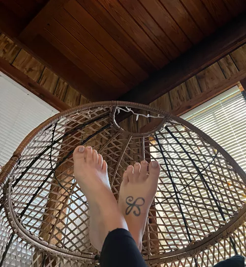 Clean the house barefoot or with socks? Hmm 🤔 what’s your favorite?  by EstablishmentOk337