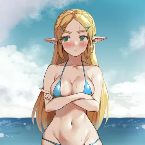 Displeased Bikini Zelda (Monbetsu Kuniharu on Pixiv) [Breath of the Wild] by GunShip05