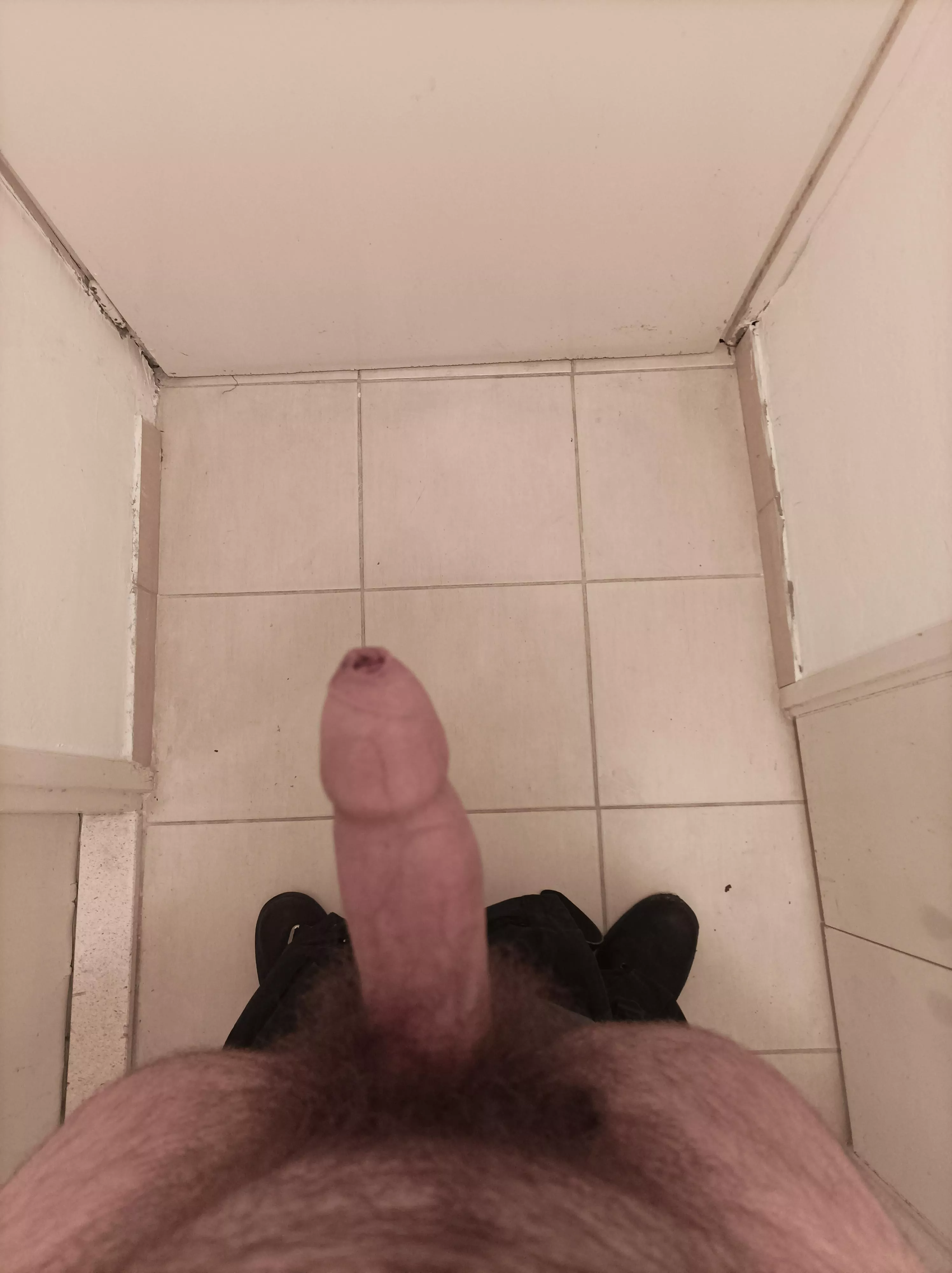Do you like my cock? posted by Loud_Prompt_8880