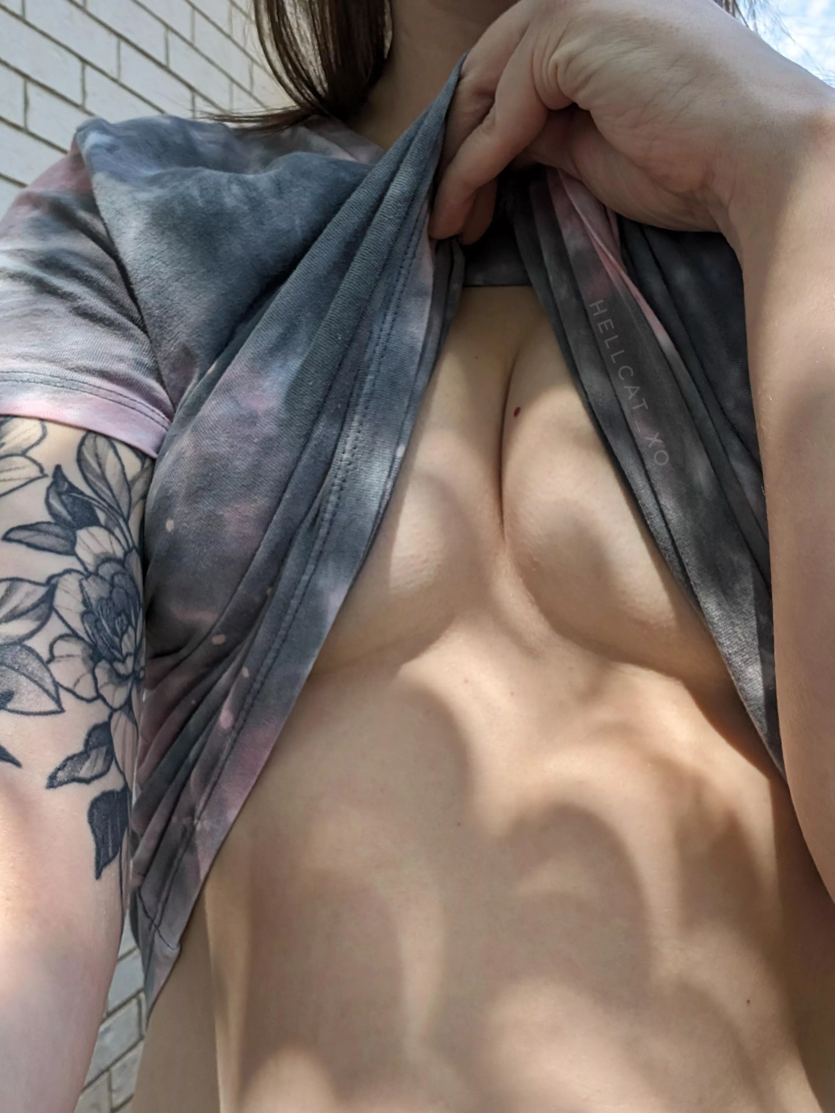 eclipse shadows on everything! posted by hellcat_xo