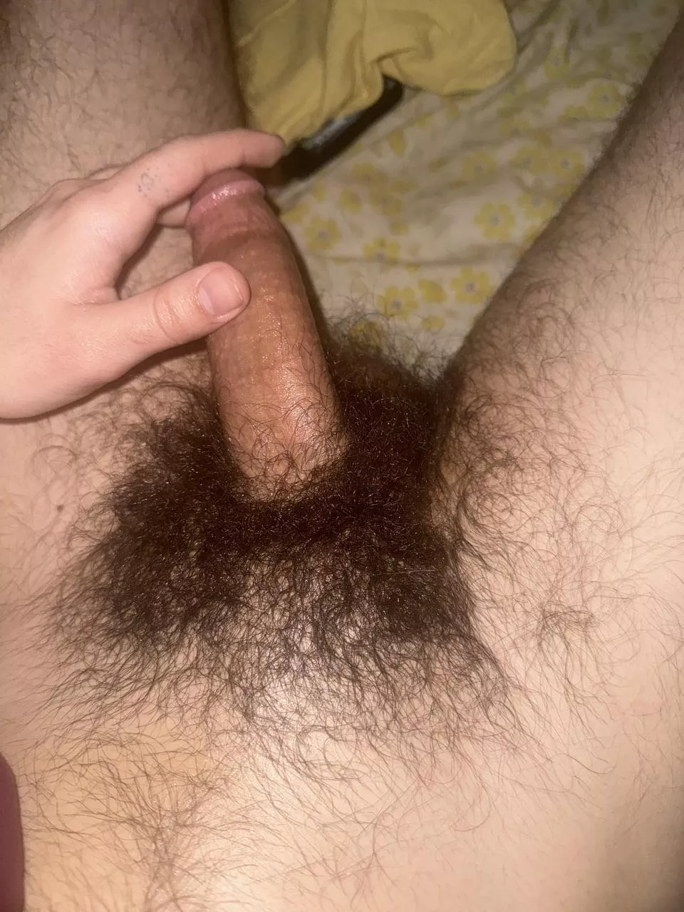 enough hair to bury your face in posted by mazphant