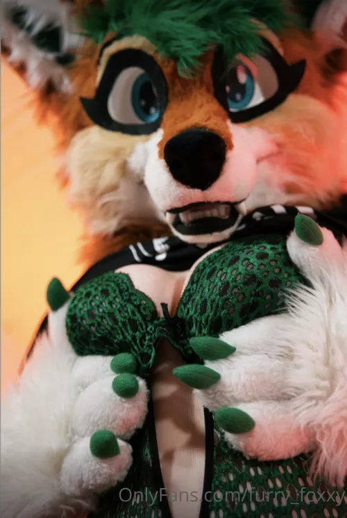 🐾 Grab them with your paws/claws or hands! Just do it! 🐾 by FurryFoxxyStream