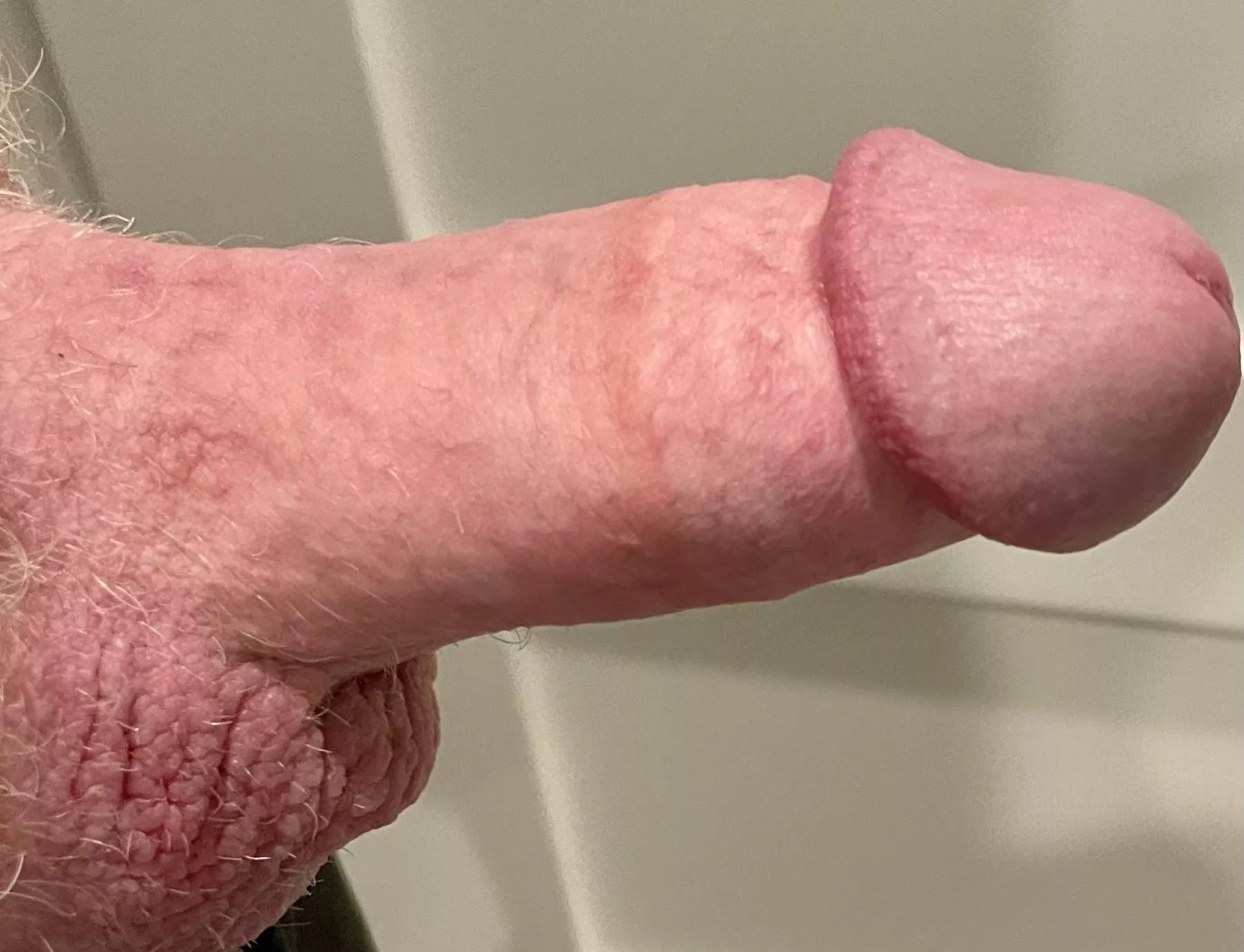 Happy Tuesday  posted by edpecr