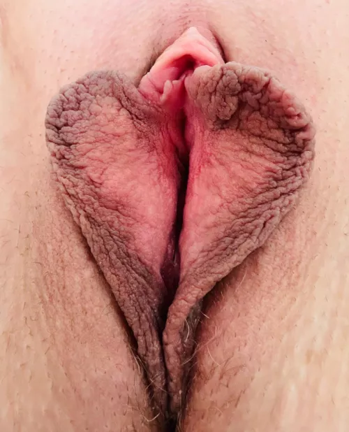 How many of you men can I make cum with this one picture? by formerstrippr