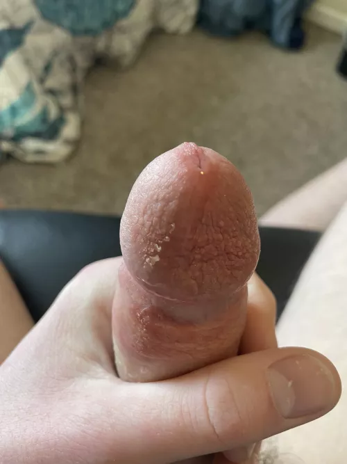 Hs penis with lots of pre cum by Creative-Milk-8671