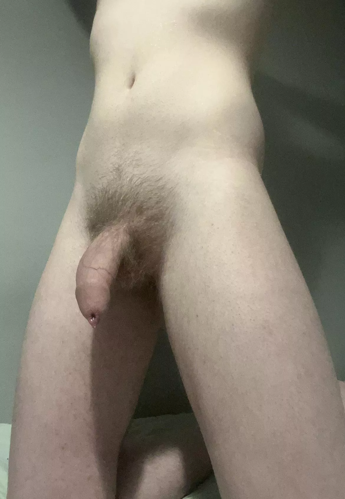 It’s dripping… posted by GlumIndividual5323