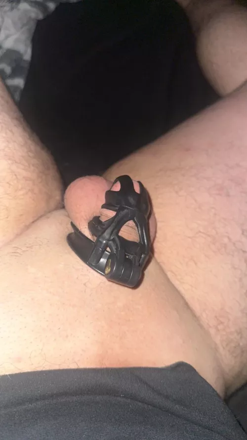 Just got locked back up again 🥺 by Impossible-Unit6384