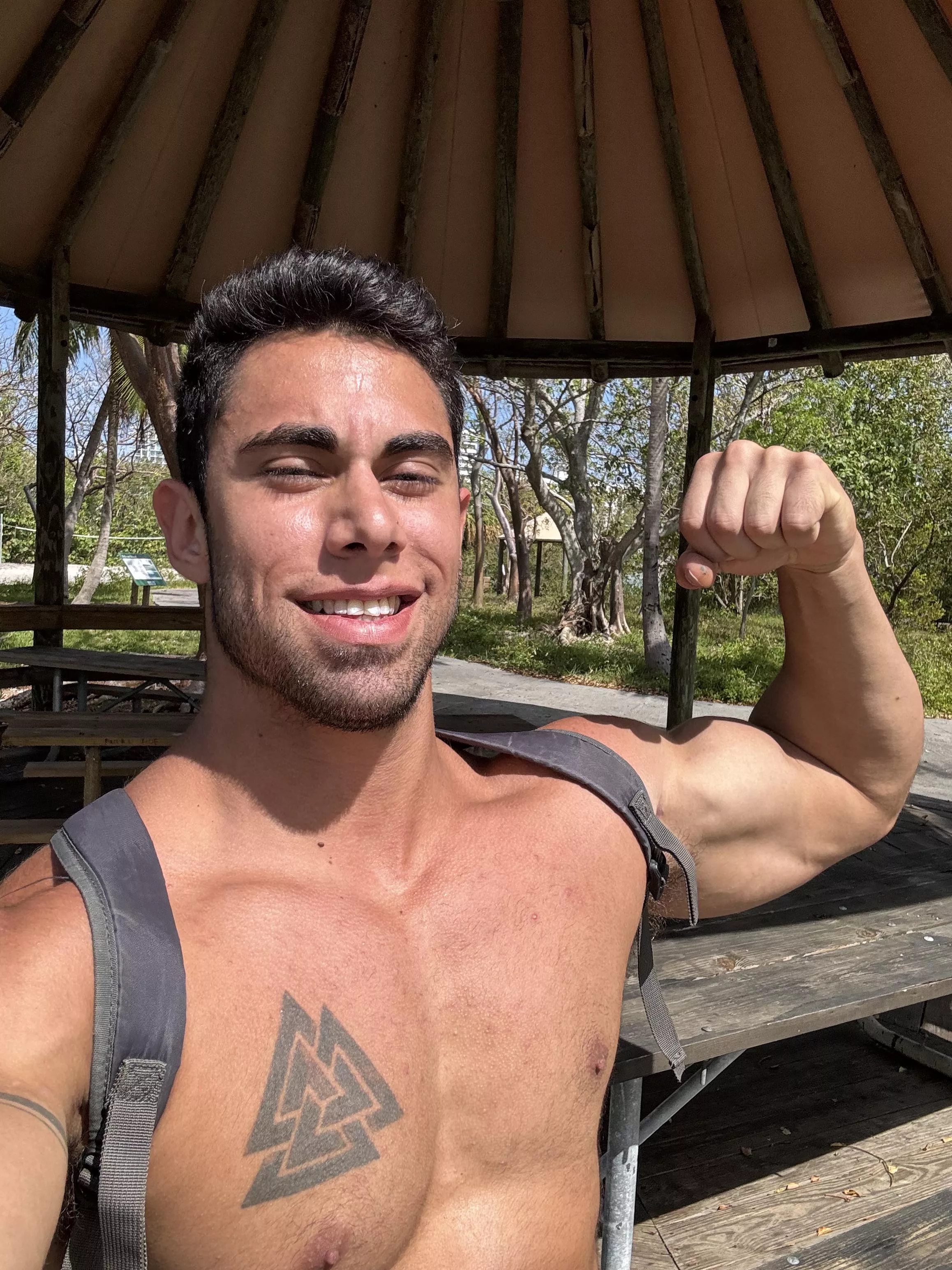 Lost on Pelican Island posted by MSelier