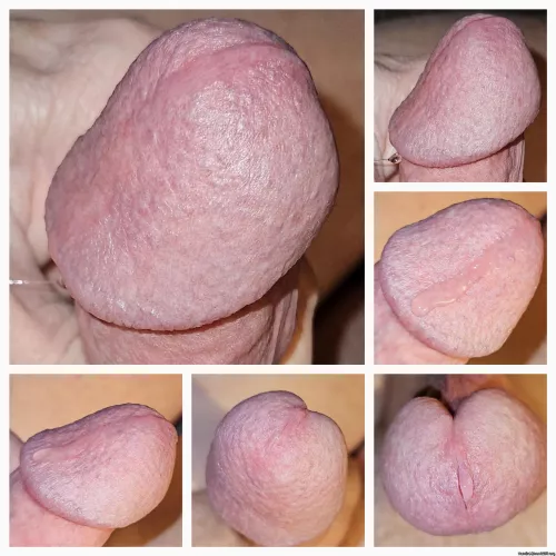 Mushroom cock head pictures  by Handle12