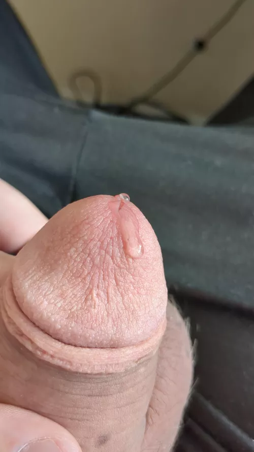 My soft dick leaking a ton 🥵🥵 by Frightenedpooper69