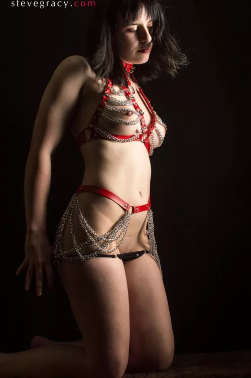 Nova by SteveGracyPhoto