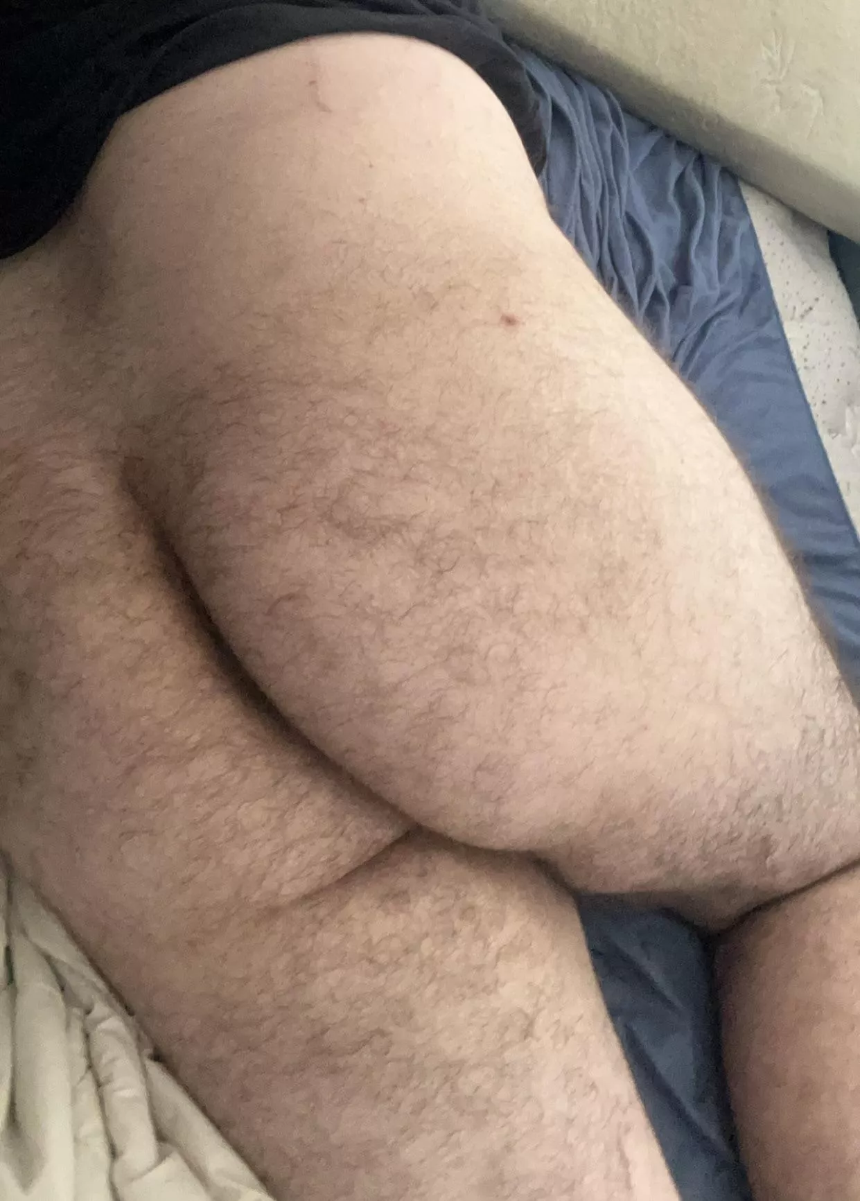 Plap plap plap posted by fathairyboycunt