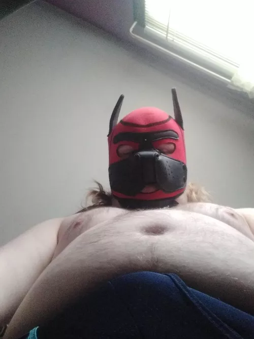 Puppy tried to do the meme~ by Zozathelion