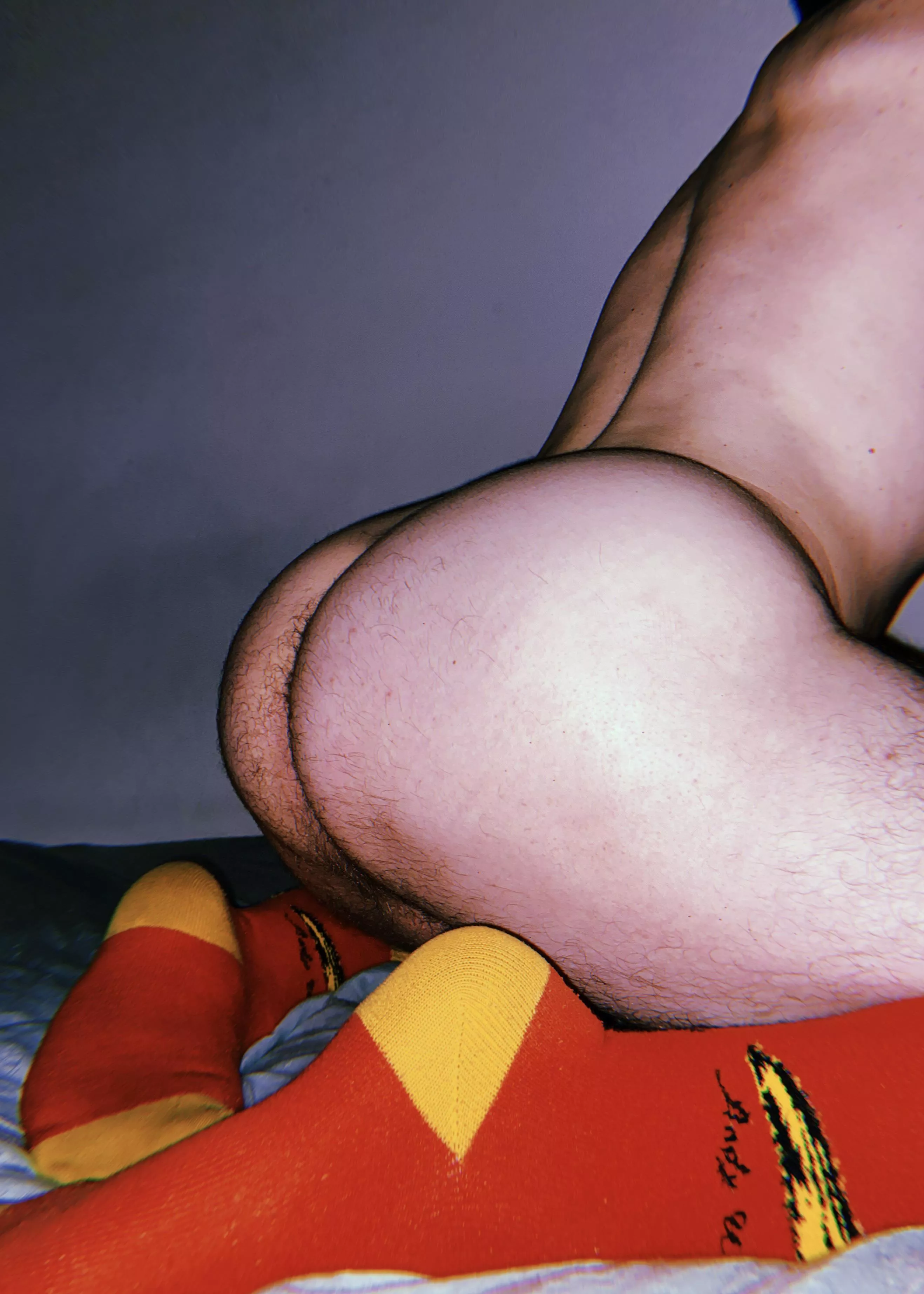 Sniff, eat or breed - you can only pick one posted by KinkyGauchoGuy