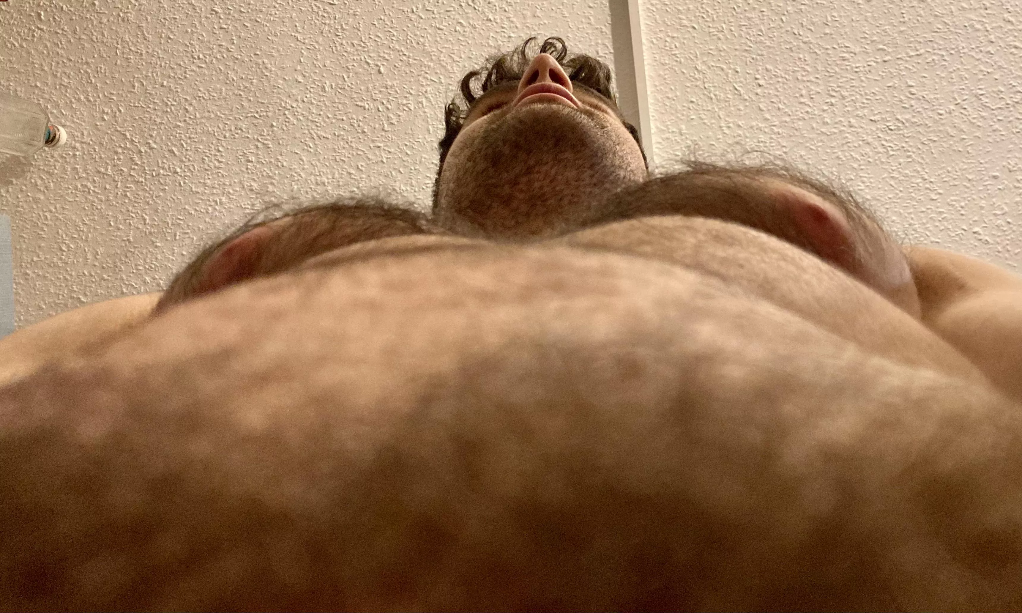 Take your seat, in the forest down below posted by J-Harker