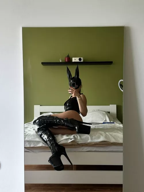 This bunny while chilling on bed is waiting for a carrot! by Evamoon94