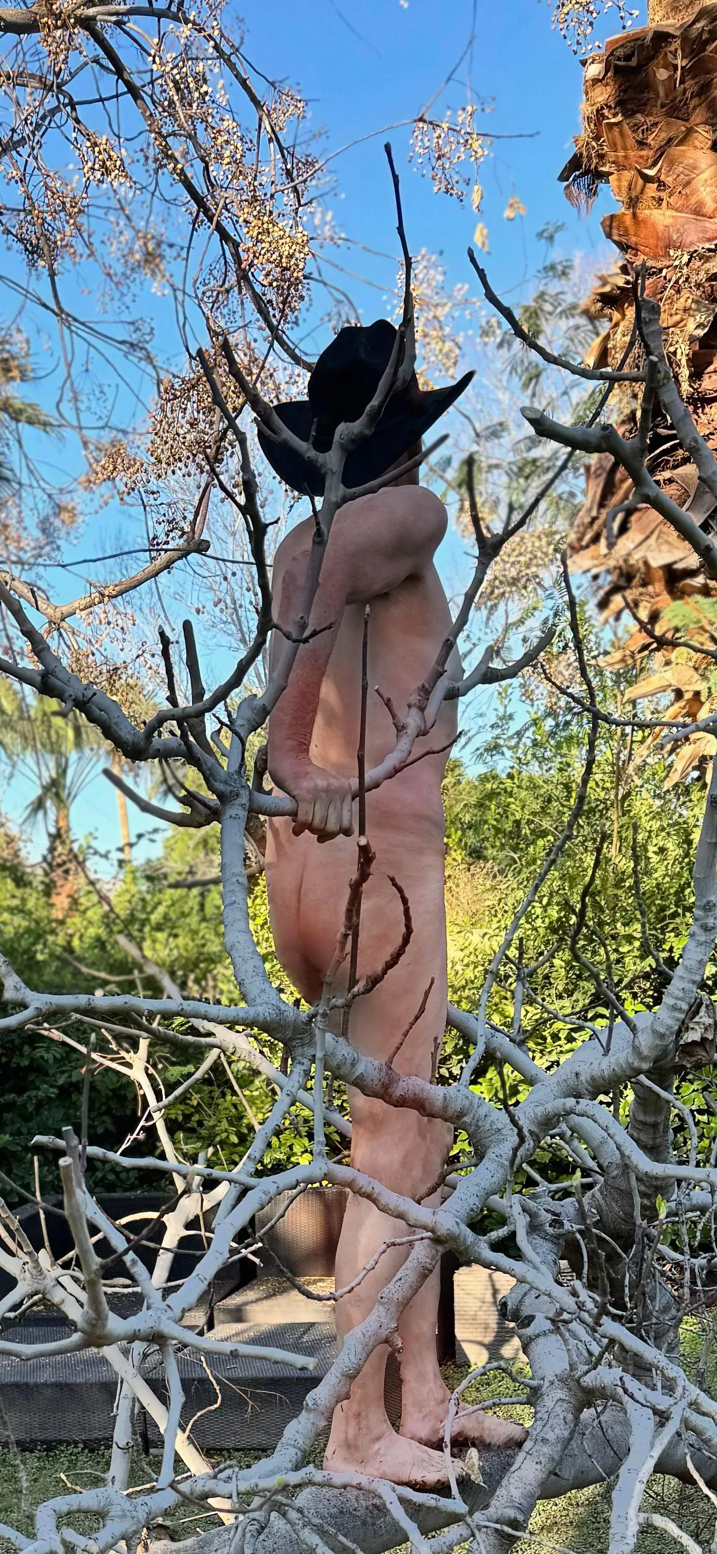 ☘️Tree Pose Tuesday🌿 Searching for a new ……. posted by Fickle-Repair486