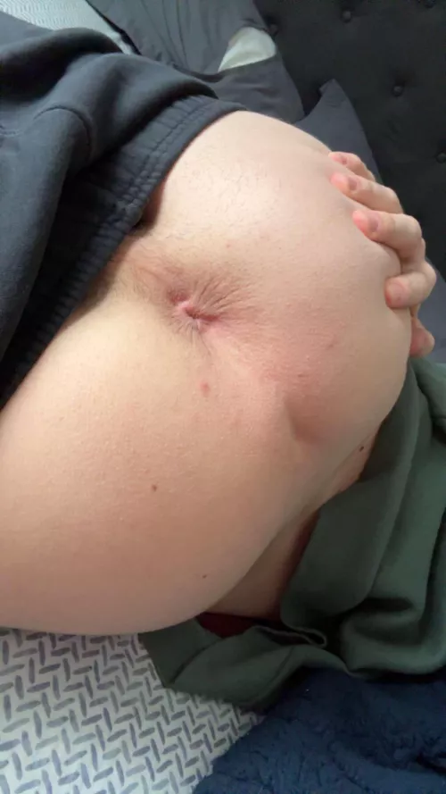 (19m gay) As Marie Antoinette once said… by MilkNotMilk