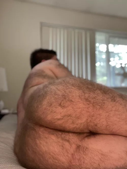 [24] Just chilling 😏 by LaLaKo44