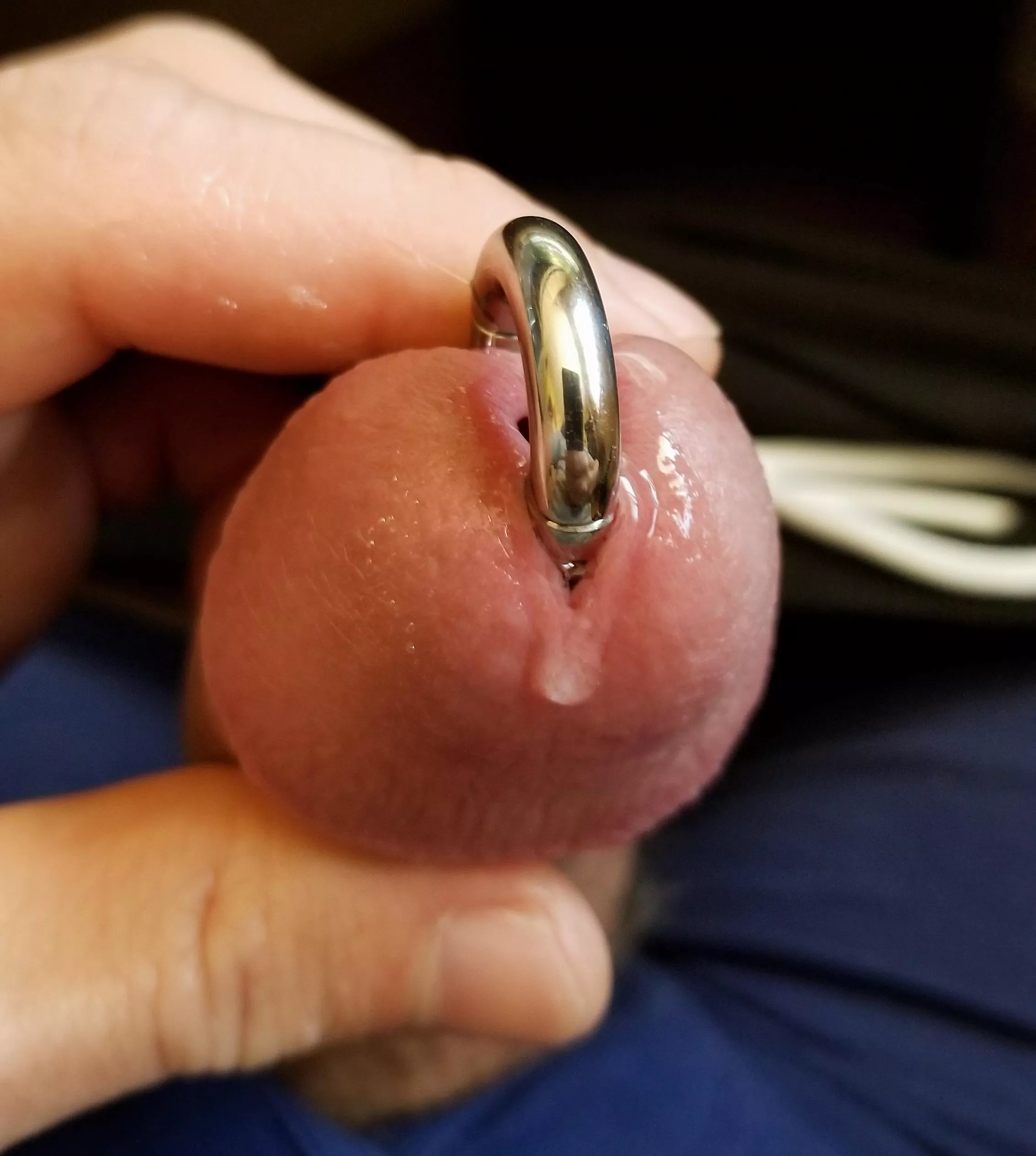 A bit excited this morning posted by JKPig66