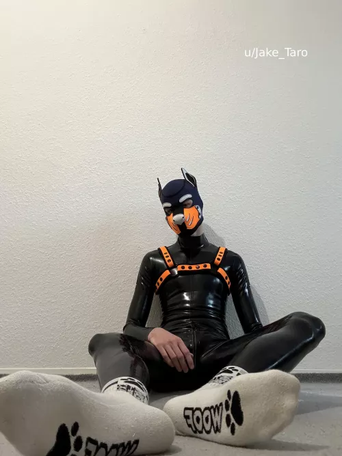 are you up for some sniffing? by Jake_Taro