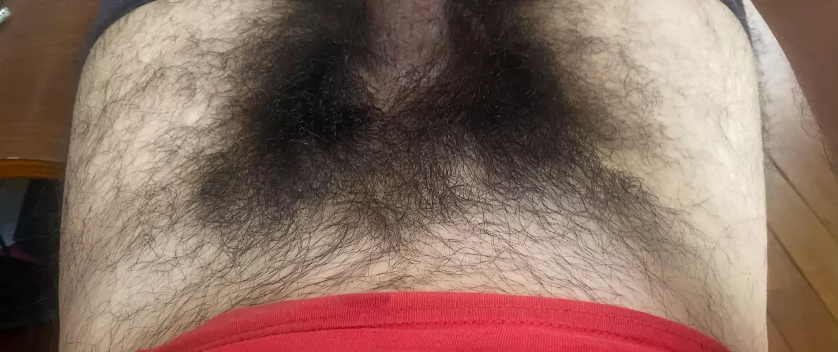 Bush update by princealbert_idf