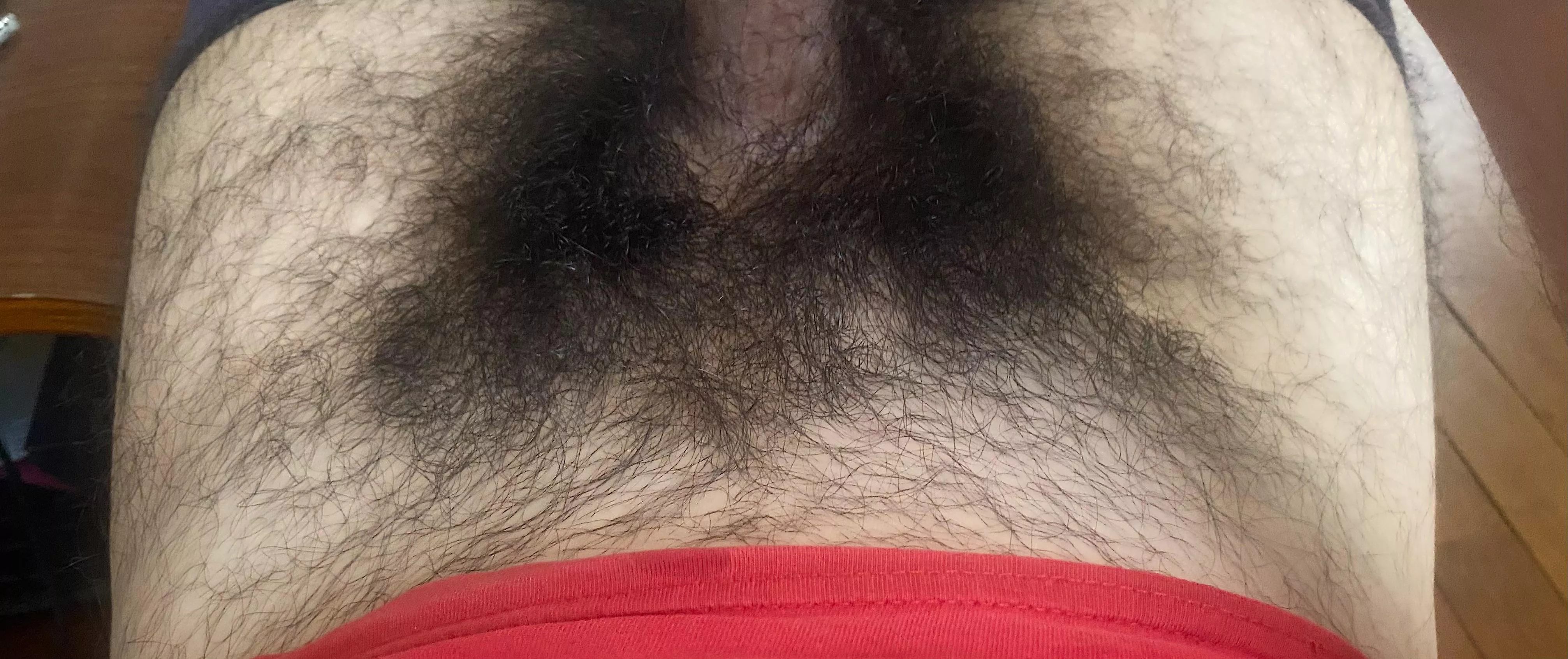 Bush update posted by princealbert_idf