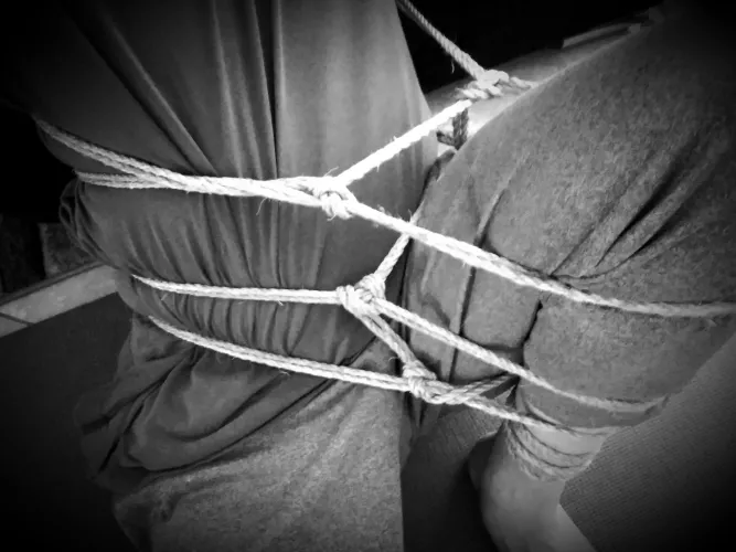 Chilly day but, I had a thought... by robo_dwarf_hamster