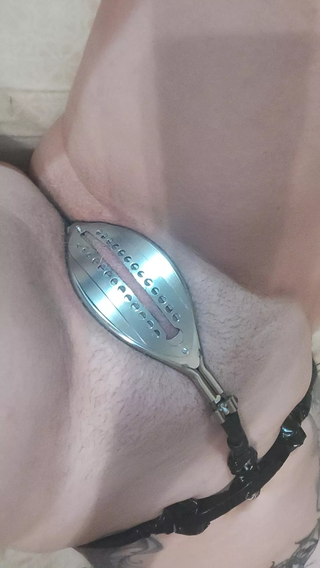 Day 5 posted by DaddysKitten0229