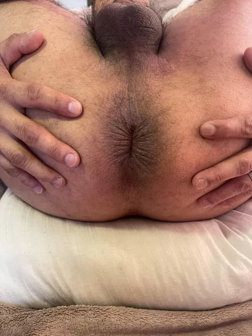 Destroy my hungry otter pussy😈 by Dominantjose