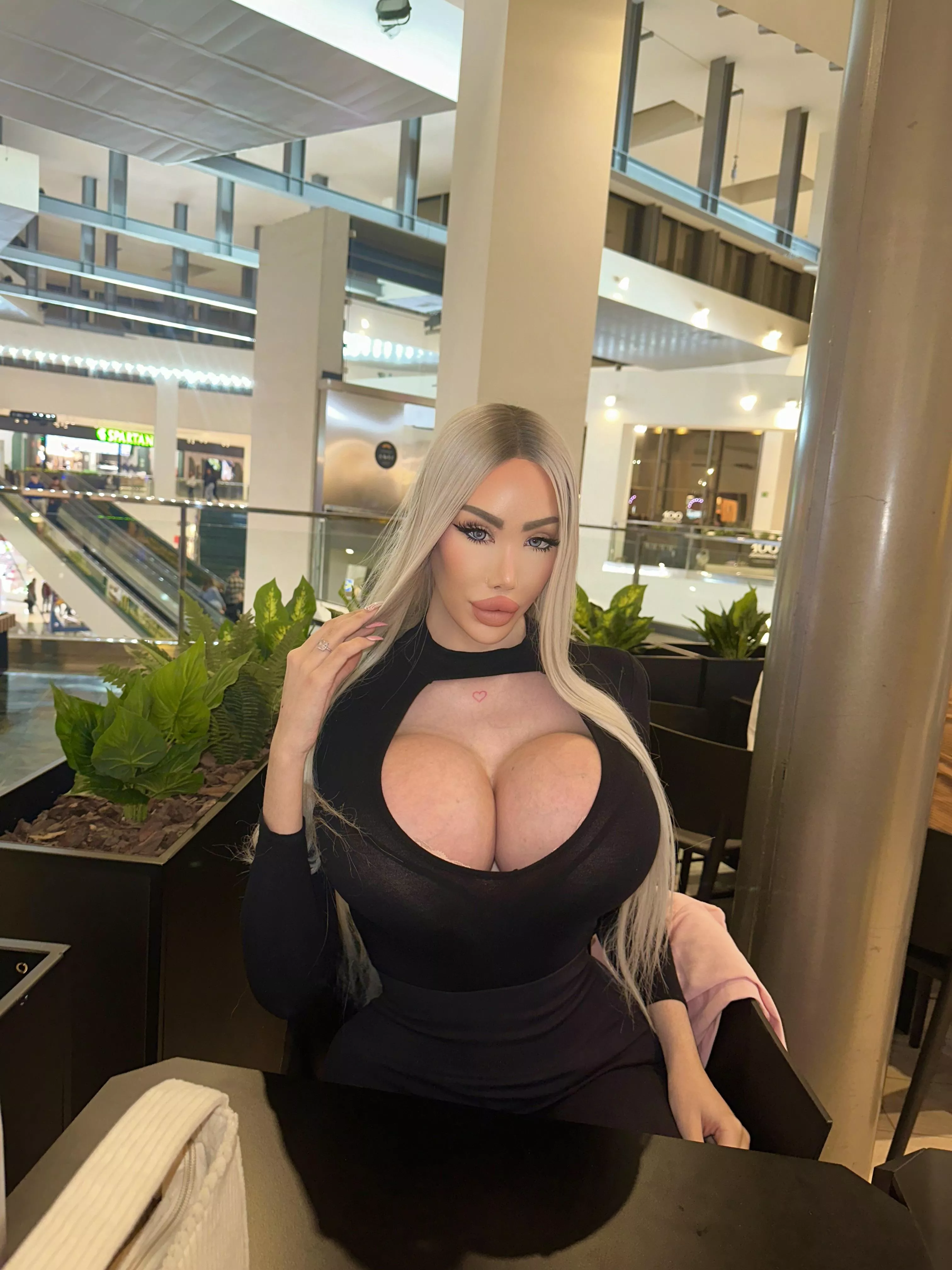 Dinner with your bimbo trophy wife  posted by Luxury_Plastic_Doll