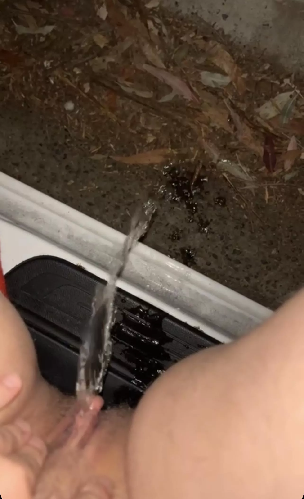 Drunk me loves peeing out of cars apparently  posted by Lucyg626